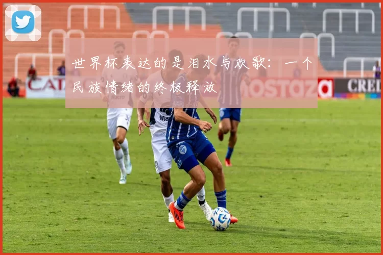 世界杯表达的是泪水与欢歌:一个民族情绪的终极释放