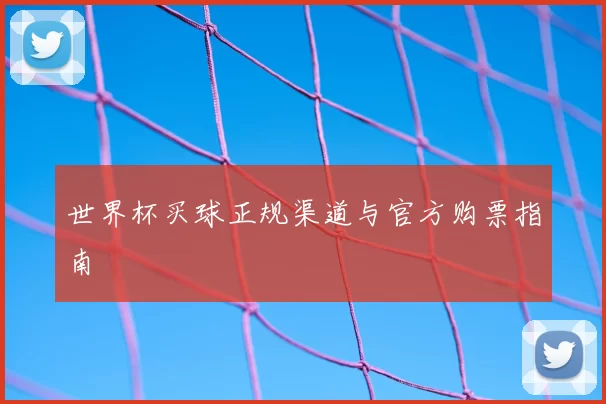 世界杯买球正规渠道与官方购票指南