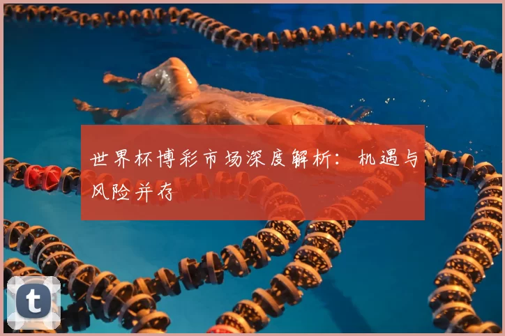 世界杯博彩市场深度解析：机遇与风险并存