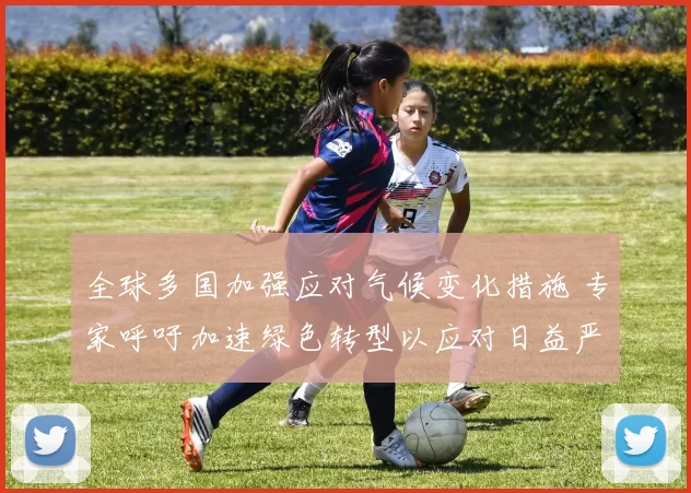 全球多国加强应对气候变化措施 专家呼吁加速绿色转型以应对日益严峻的环境挑战
