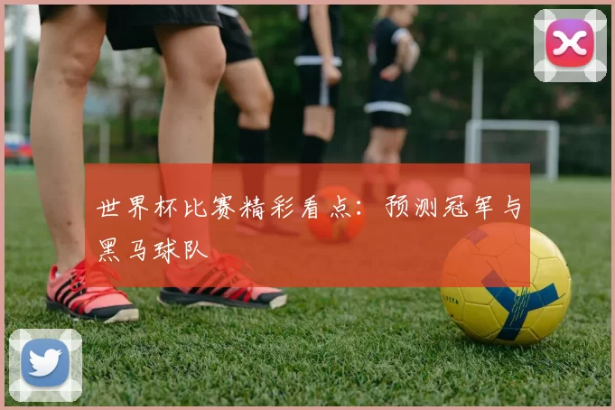 世界杯比赛精彩看点:预测冠军与黑马球队