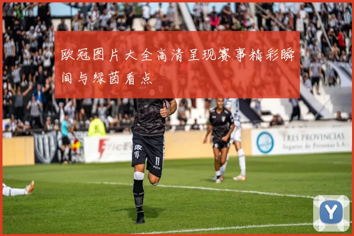 欧冠图片大全高清呈现赛事精彩瞬间与绿茵看点