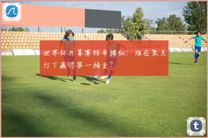 世界杯开幕赛赔率揭秘：谁在聚光灯下赢得第一桶金？