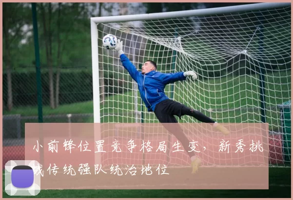 小前锋位置竞争格局生变，新秀挑战传统强队统治地位