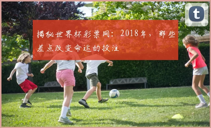 揭秘世界杯彩票网：2018年，那些差点改变命运的投注